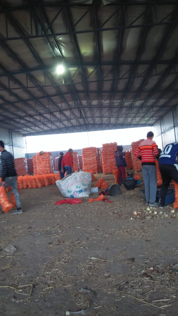 Agro Img 4