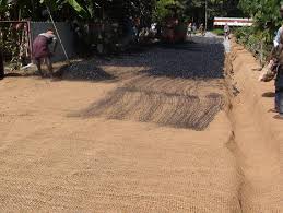 Coir1