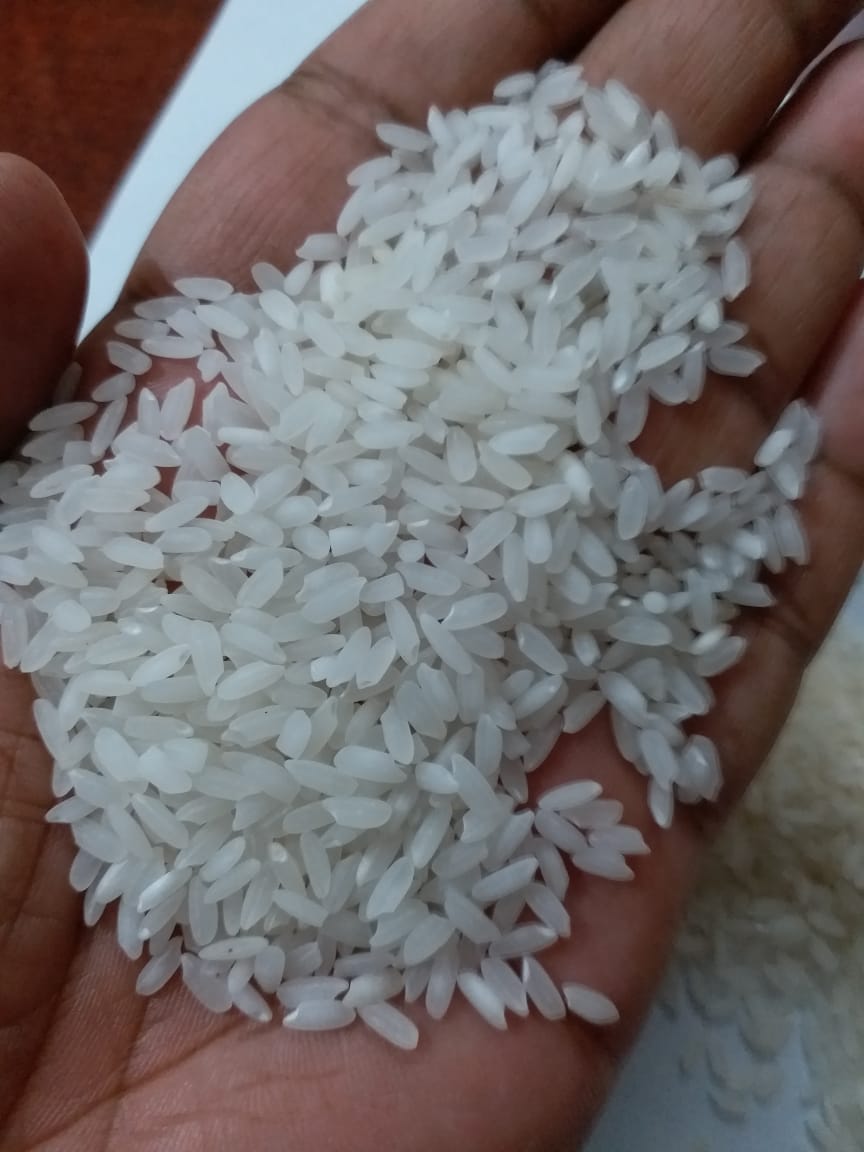 Rice2