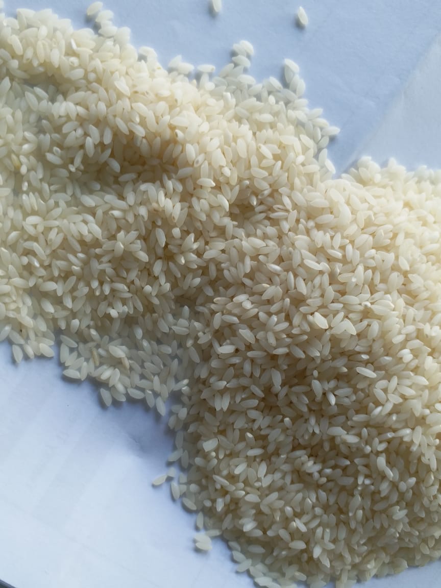 Rice3