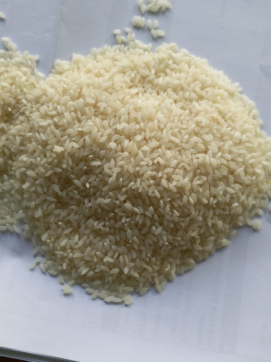 Rice4