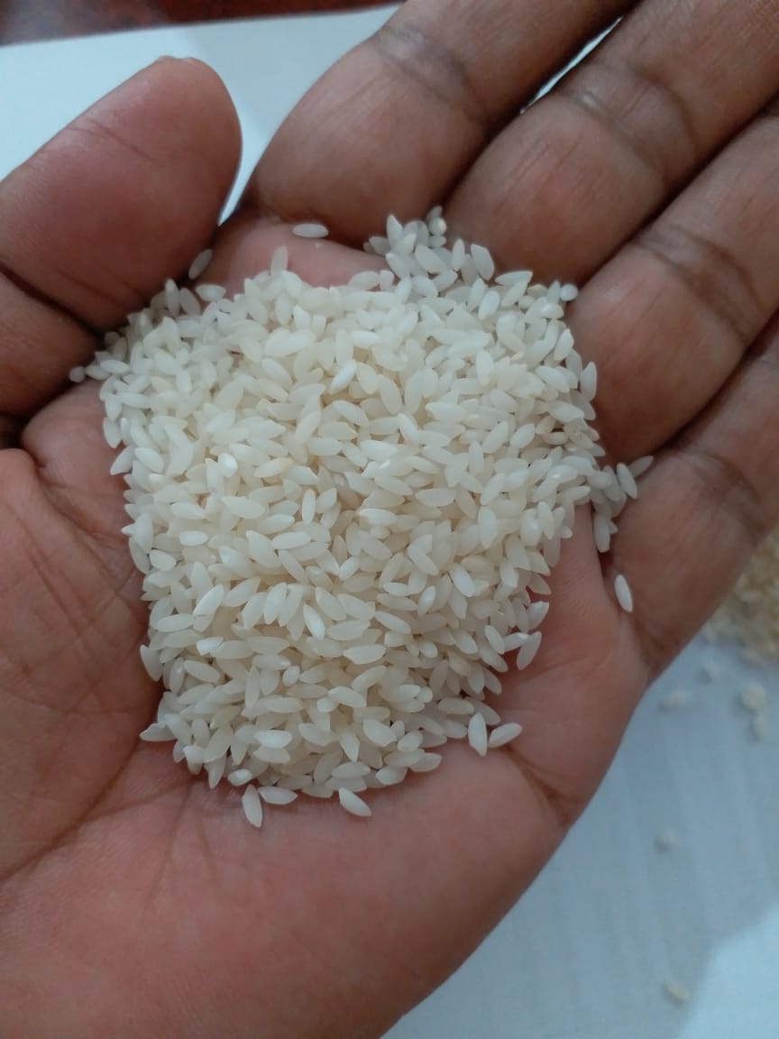 Rice5