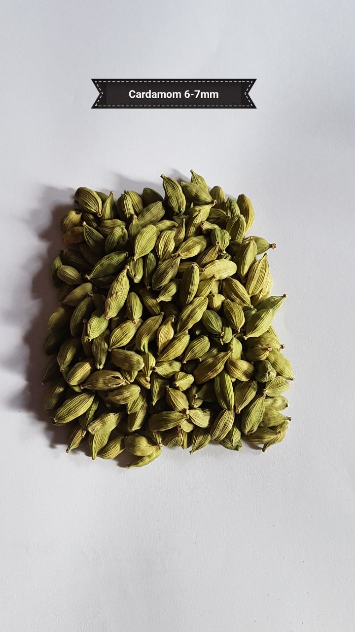 Seeds&Tissue4