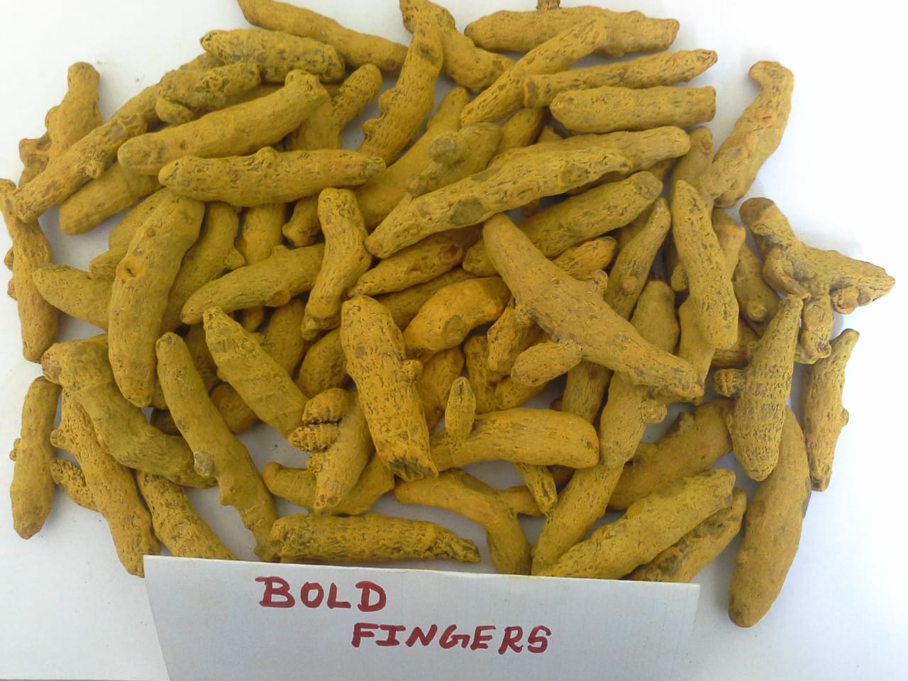 Turmeric2