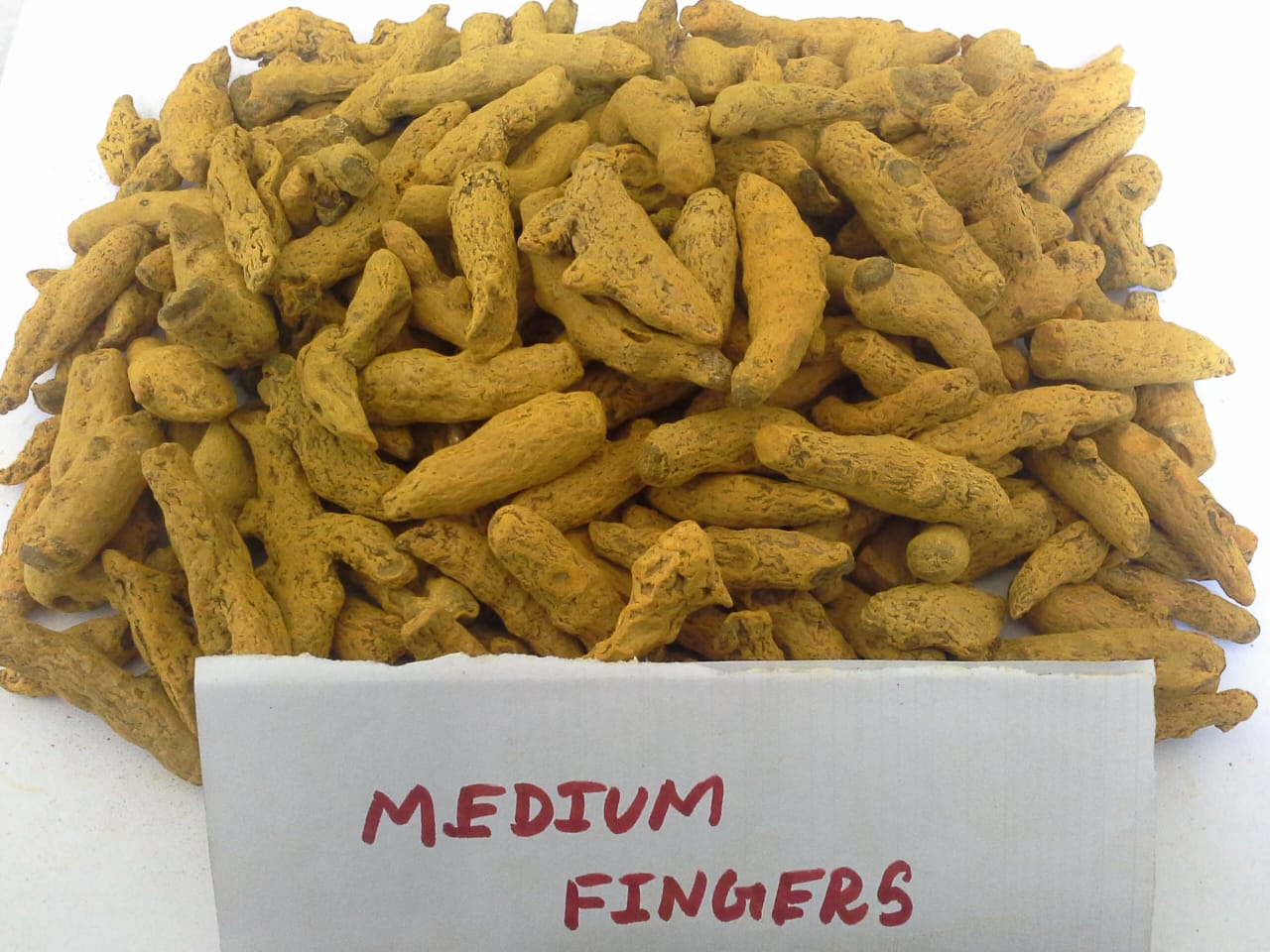 Turmeric3