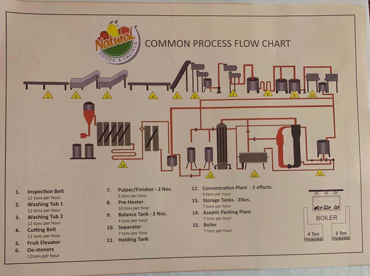 fruit pulp manufacturing02