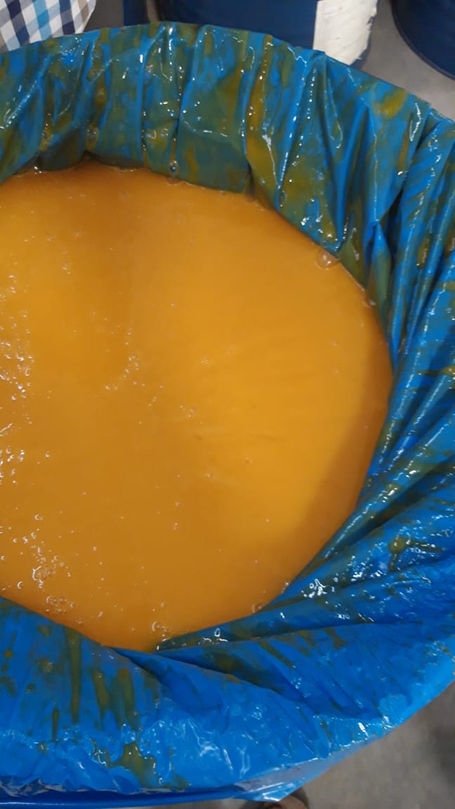 fruit pulp manufacturing2