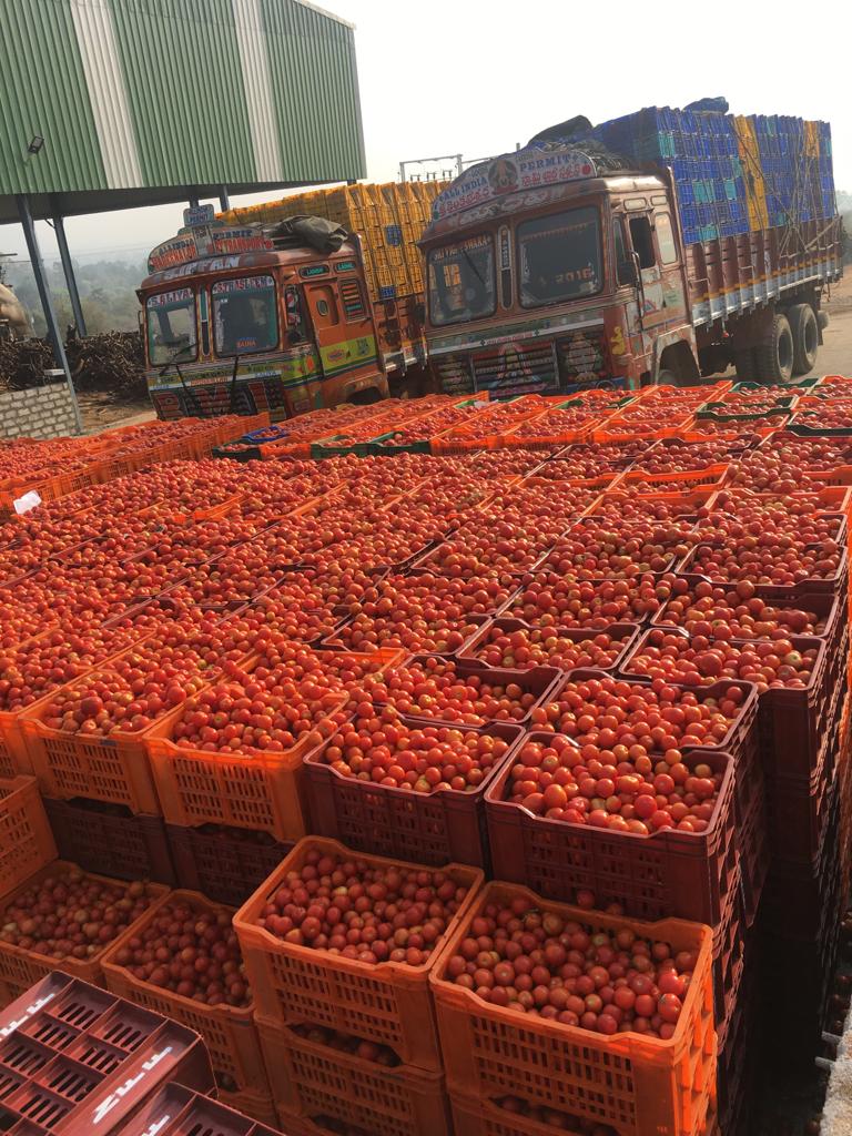 fruit pulp manufacturing6